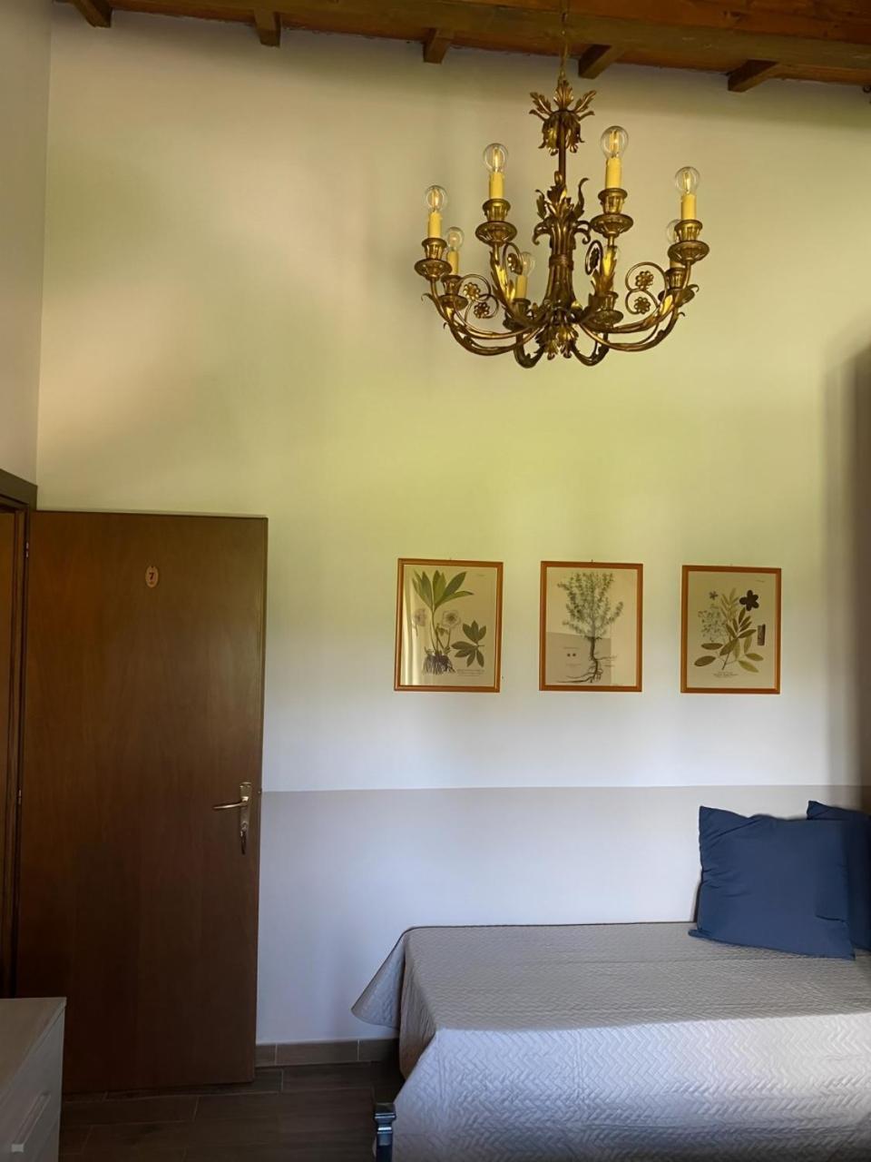 Agriturismo La Luciana Castiglione della Pescaia Ngoại thất bức ảnh