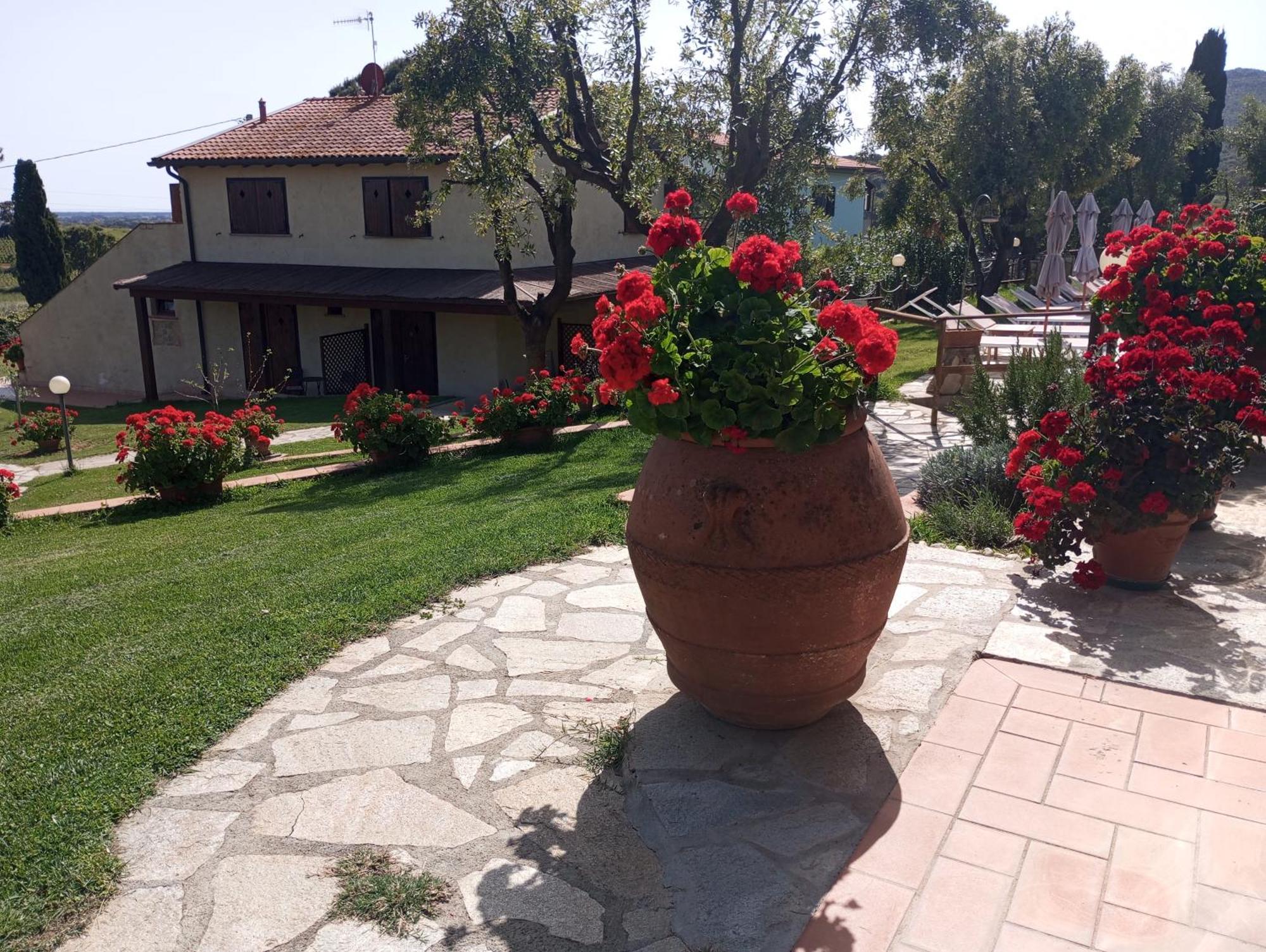 Agriturismo La Luciana Castiglione della Pescaia Ngoại thất bức ảnh