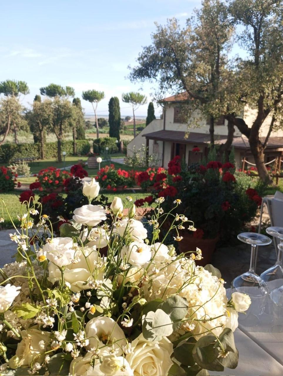 Agriturismo La Luciana Castiglione della Pescaia Ngoại thất bức ảnh